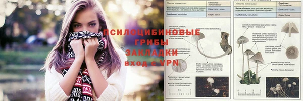 герыч Дмитров