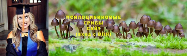 герыч Дмитров