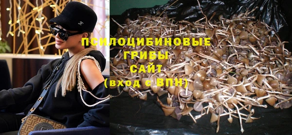 герыч Дмитров