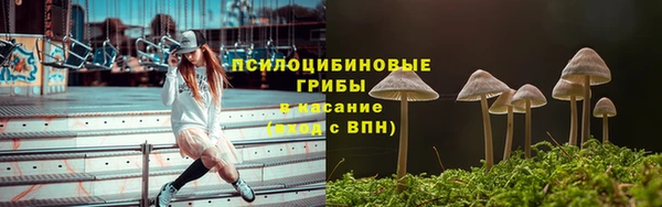 герыч Дмитров